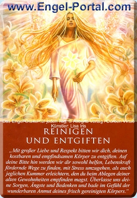 Engel Tageskarte Reinigen und entgiften